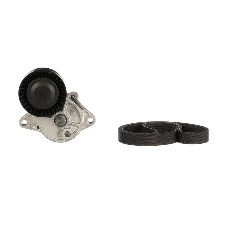 Multi-V-riemset met spanner past: BMW 3 (E46), 5 (E39), 7 (E38), X5 (E53), Z3 (E36) 2.0-3.0 08.95-12.07