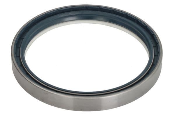 Shaft Seal, wheel hub