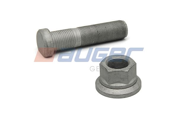 Wheel bolt