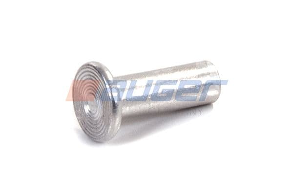 Rivet, drum brake lining