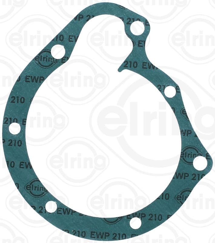 Water pump gasket