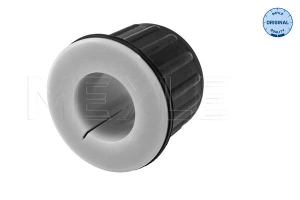 Bushing, leaf spring