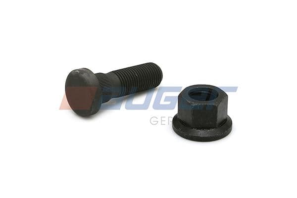 Wheel bolt