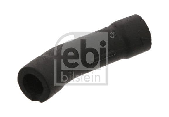 Hose, cylinder head cover ventilation