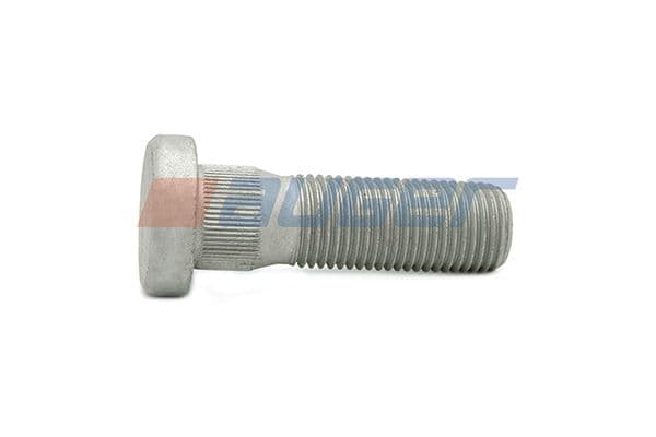 Wheel bolt