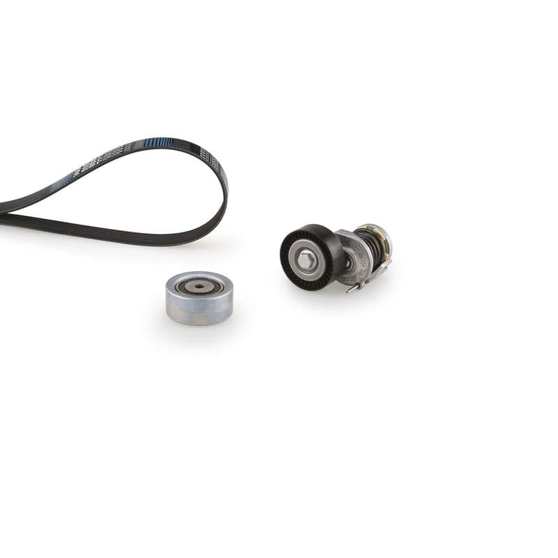 Multi-V-riem (6PK1613)