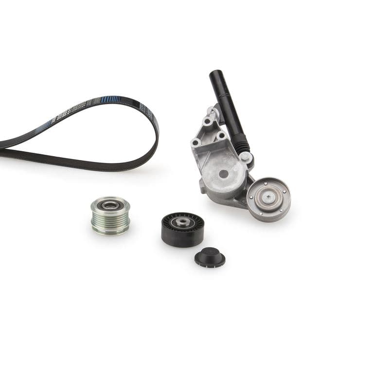 Multi-V-riem (6PK1660)