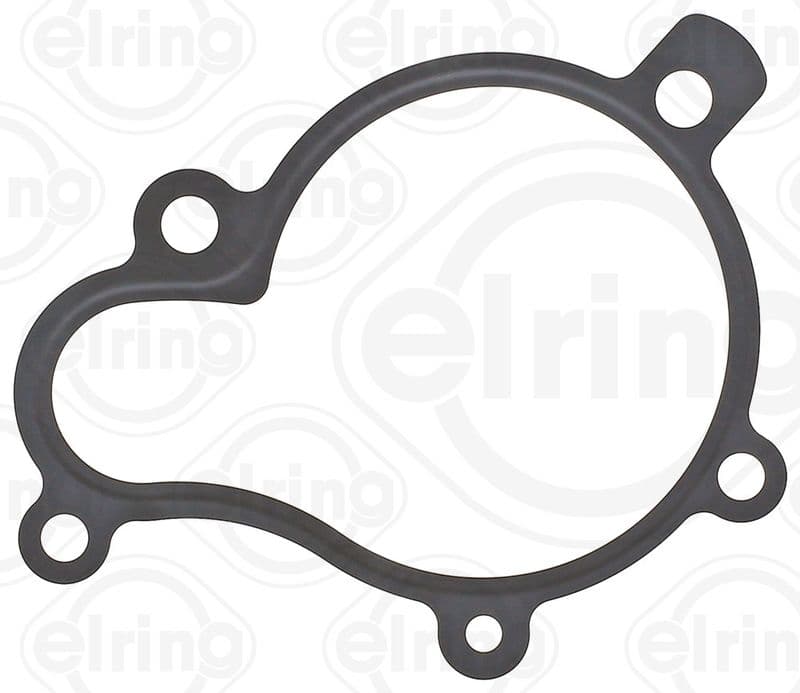 Water pump gasket