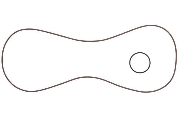 Oil sump gasket