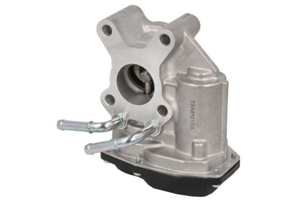 EGR-klep past: NISSAN CABSTAR, NAVARA NP300, NP300, NT400 CABSTAR, PATHFINDER III 2.5D 01.05-