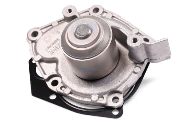 Waterpomp, met pakking past: NISSAN PRIMERA  RENAULT GRAND SCENIC II, LAGUNA II, MEGANE II, SCENIC II, SCENIC III  SUZUKI GRAND VITARA II 1.9D 03.01-