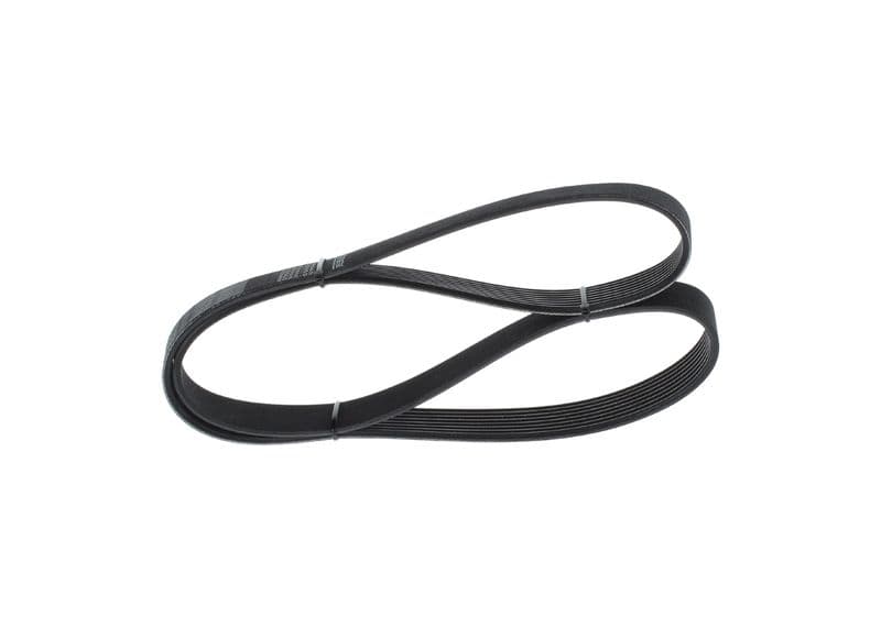 V-ribbed Belt