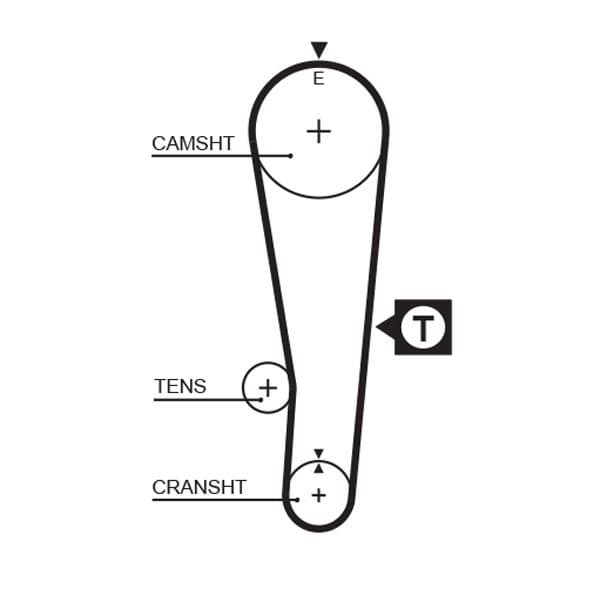 Timing belt