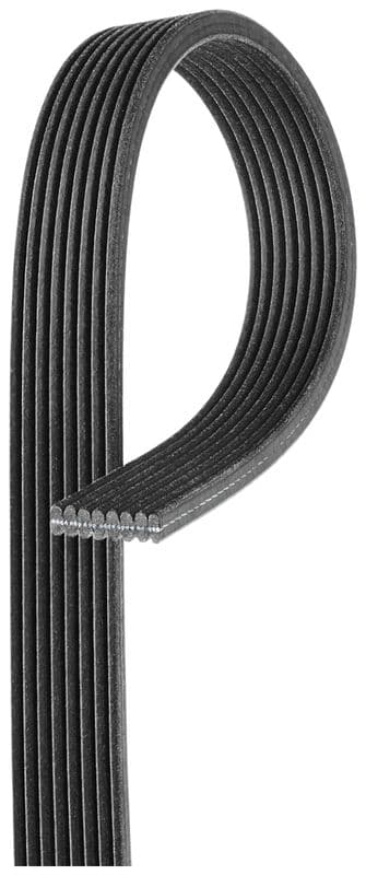 Multi-V-riem (8PK1630)
