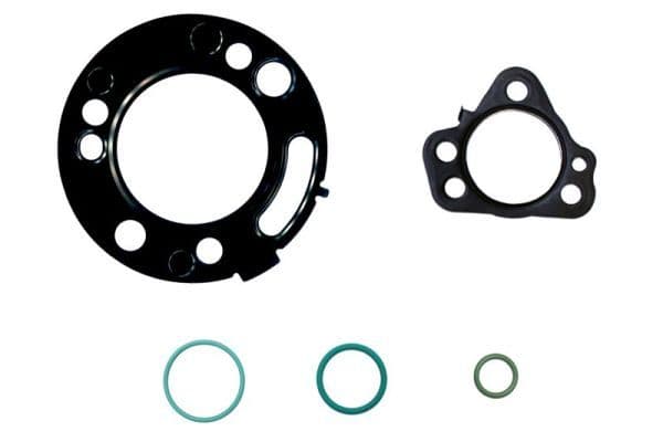 Reparatieset voor pomp Delphi DFP6.1E (basis, past op: 1111100XED61  28384347  28444945  28557521  28624938  33100-2A650  42011282  9674984480  A673 070 00 01  DS7Q9A543 BA) past: DS DS 4 1.6D/2.0D/2.