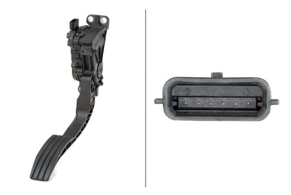 Gaspedaal past: RENAULT TWINGO II, WIND 1.2/1.5D/1.6 03.07-09.14