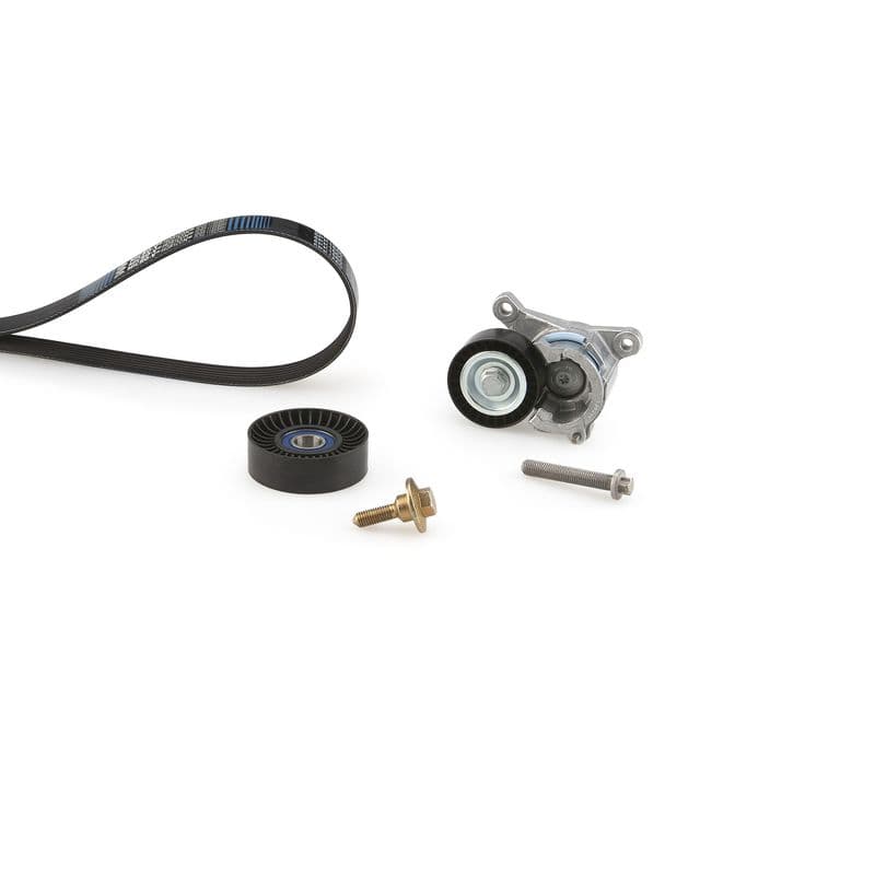 Multi-V-riem (6PK1190)