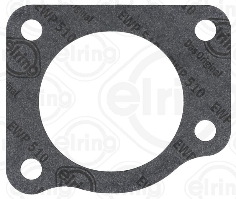 Gasket, EGR valve