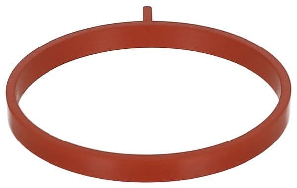 Gasket, intake manifold
