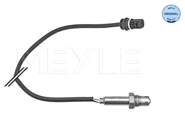 Oxygen Sensor