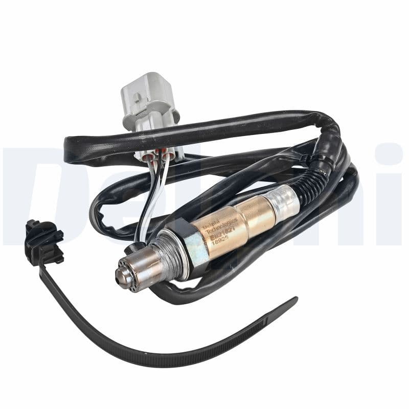 Oxygen Sensor