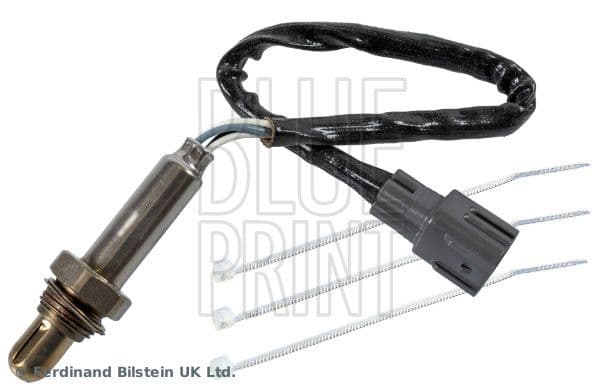 Oxygen Sensor