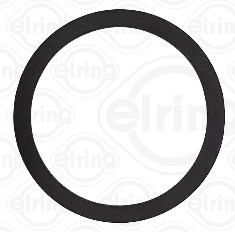 Gasket, coolant flange