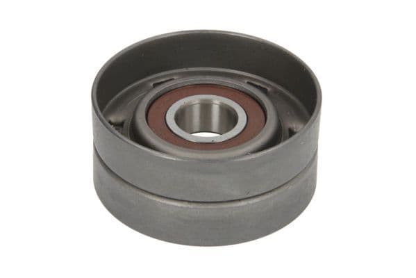 Meervoudige V-snaar spanrol past: RENAULT CLIO III, DUSTER, GRAND SCENIC II, GRAND SCENIC III, MEGANE, MEGANE I, MEGANE II, MEGANE III, SCENIC II, SCENIC III 1.9D/2.0 01.02-