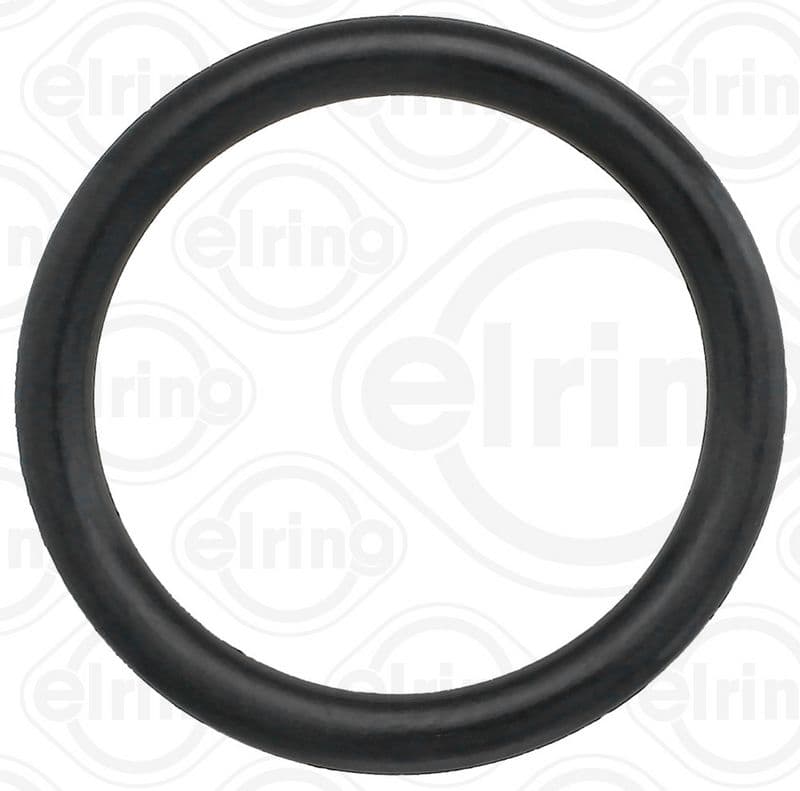 Gasket, differential