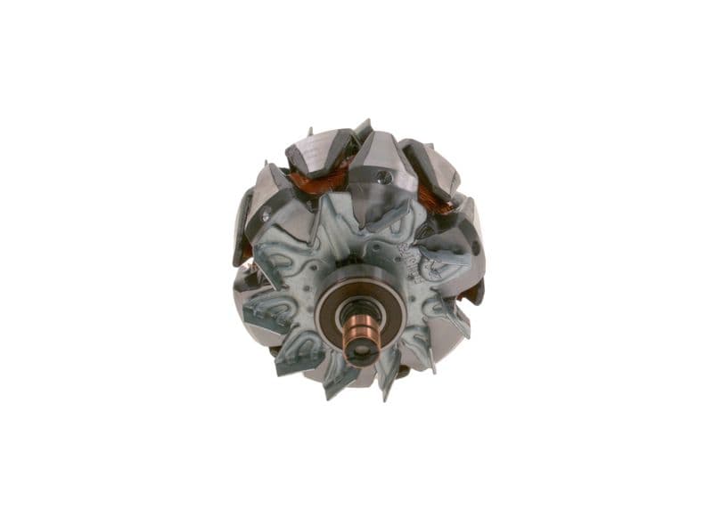 Alternator rotor
