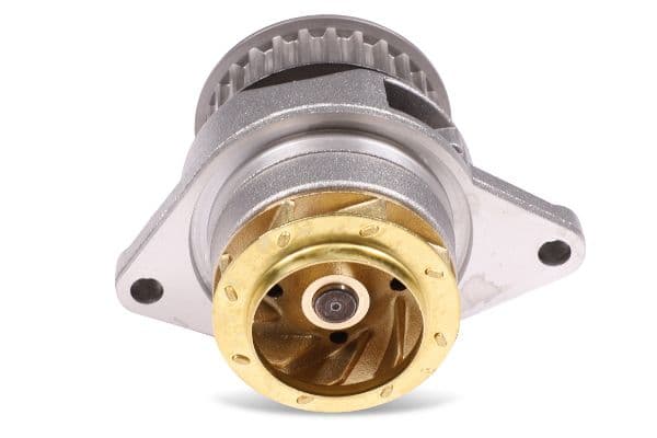 Waterpomp, met pakking past: AUDI A2  SEAT LEON, TOLEDO II  VW BORA, BORA I, GOLF IV, LUPO I, POLO, POLO III 1.6 09.98-06.06