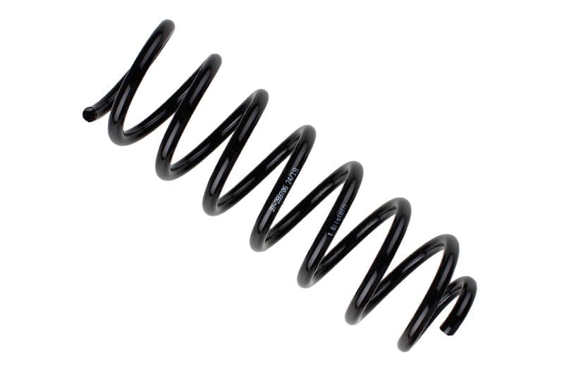 Coil spring