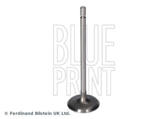 Intake Valve