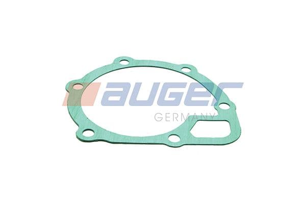 Water pump gasket
