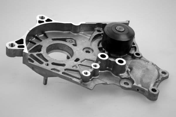 Waterpomp, met pakking past: TOYOTA AVENSIS, COROLLA, COROLLA VERSO, RAV 4 II 2.0D 05.01-03.09