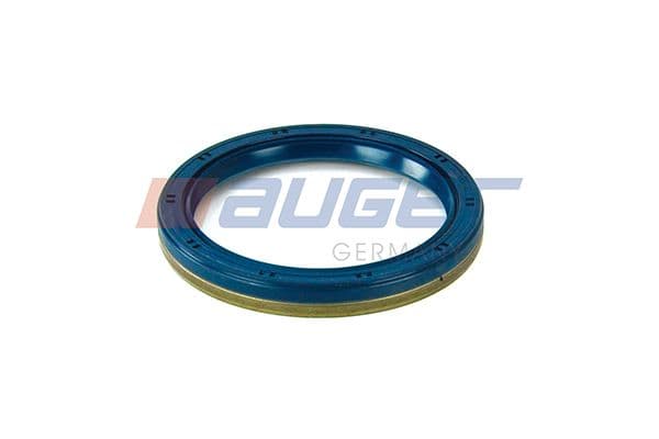 Shaft Seal, differential