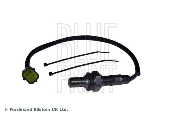 Oxygen Sensor