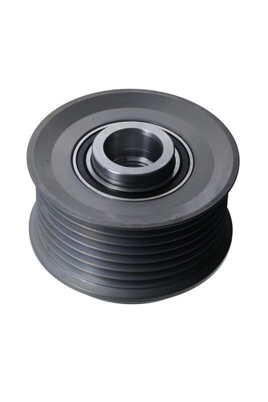 Dynamo poelie past: NISSAN CABSTAR, PATROL GR V, TERRANO II  RENAULT MASTER II 3.0D 05.00-