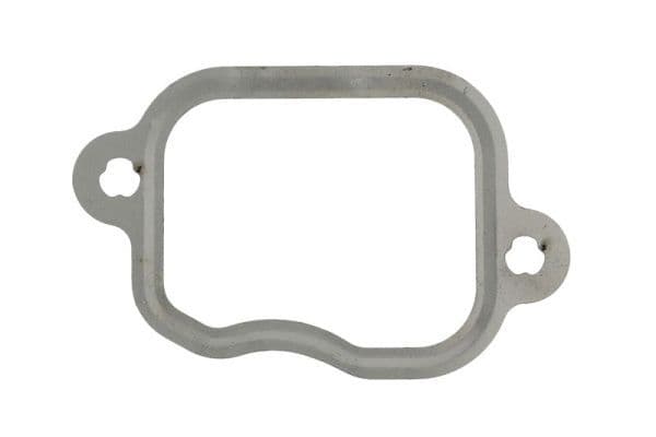 Pakking van het aanzuigspruitstuk past: FENDT 309 VARIO, 309 VARIO 2WD, 309 VARIO 4WD, 310 VARIO, 310 VARIO 2WD, 310 VARIO 4WD, 311 VARIO, 311 VARIO 2WD, 311 VARIO 4WD, 312 VARIO, 312 VARIO 4WD