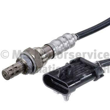 Oxygen Sensor