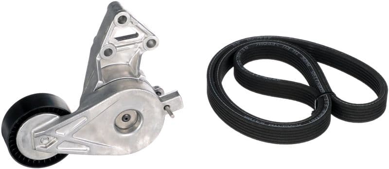 V-snaren set (met rollen) past: AUDI A3  FORD GALAXY I, GALAXY MK I  SEAT ALHAMBRA, LEON, TOLEDO II  SKODA OCTAVIA I  VW BORA, BORA I, CALIFORNIA T5 CAMPER, GOLF IV, MULTIVAN T5 1.9D 03.95-12.10