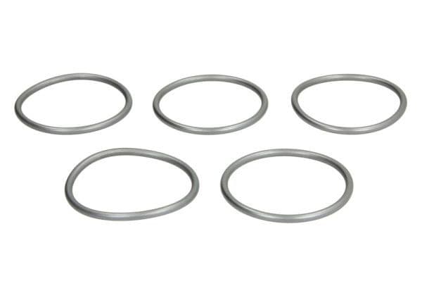 O-ring, prijs per: 5 past: NISSAN NAVARA NP300 2.2 dCi/2.2 dCi (BJ0E, BJ0F)/2.2 dCi (JE0S)/2.2 dCi (KG0F, KG1N)/2.2 dCI 90 (FD0G, FD0N, FD2G, FD2N, FD3G, FD3N)/2.2 dCI 90 (JD0G, JD0N, JD1N)/2.2 DTI (E