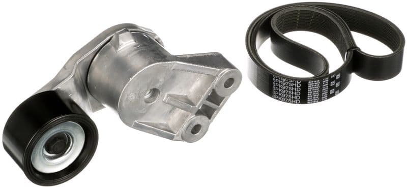 Multi-V-riemset met spanner past: RVI MAGNUM  VOLVO FH12, FH16, FM12 D12A340-DXi12 08.93-