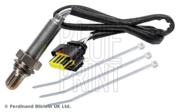 Oxygen Sensor