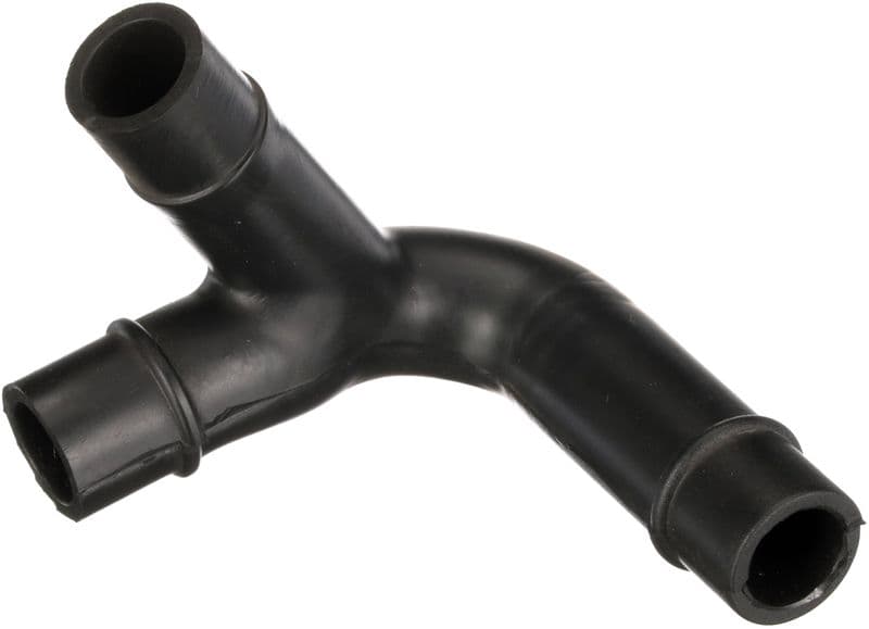 Hose, crankcase ventilation