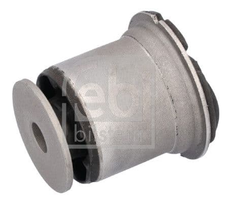 Mounting, control/trailing arm