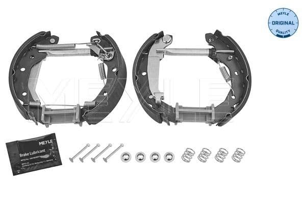Brake shoe set