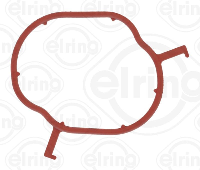 Gasket, coolant flange