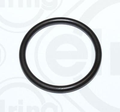 Gasket, coolant flange