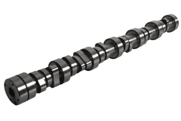 Nokkenas past: DAF CF, XF 106, XF II, XFC, XG, XG+  VAN HOOL EX MX-13355 05.17-